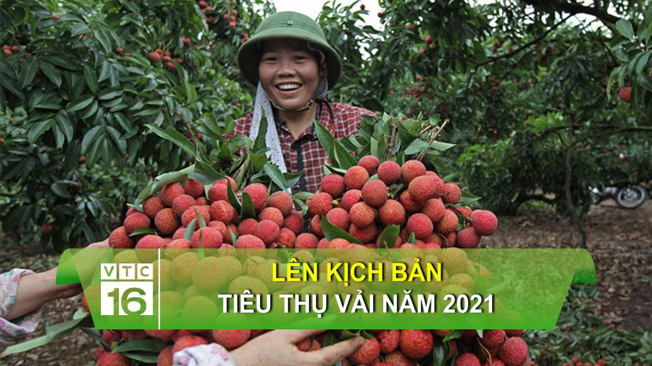 17.500 thí sinh thi đánh giá năng lực tranh suất vào Đại học Sư phạm Hà Nội